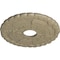 Ekena Millwork Kendall Train Station Medallion (Canopies up to 3 7/8"), 18 1/2"OD x 3 7/8"ID x 1"P, Gobi Desert CM18KDGDF - alternate 2